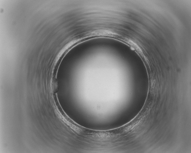 X0000059100947200510172116