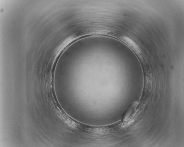 X0000059100948200510172116