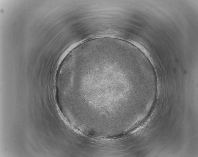 X0000059100949200510172116