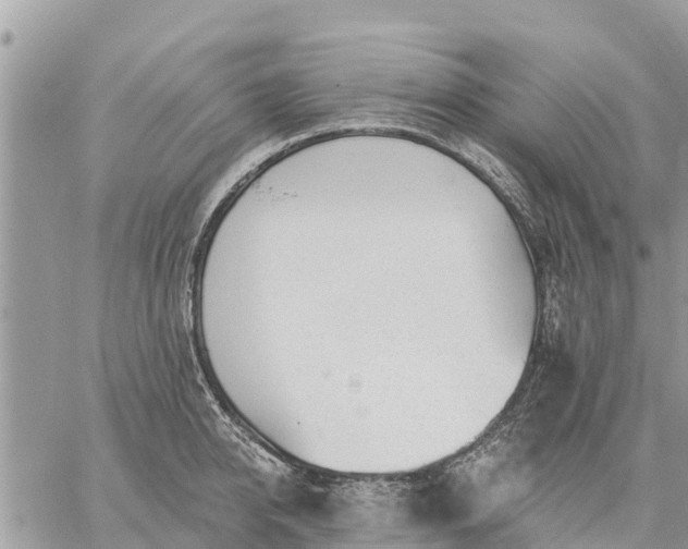 X0000059100950200510172116