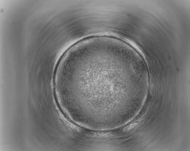 X0000059100951200510172116