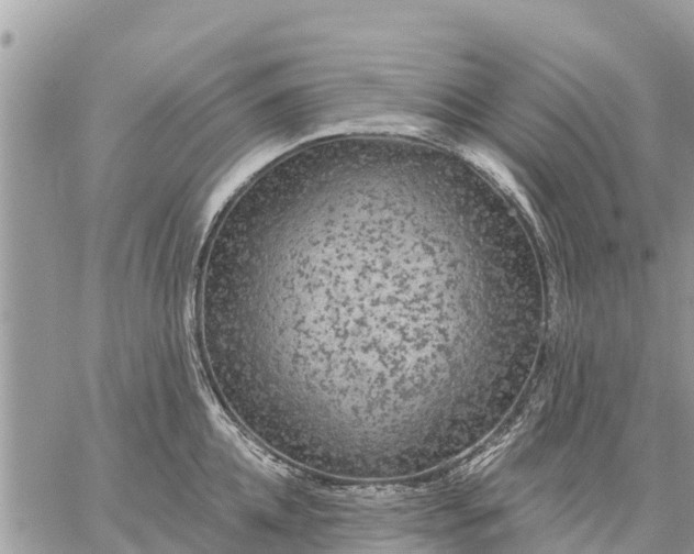 X0000059100952200510172116