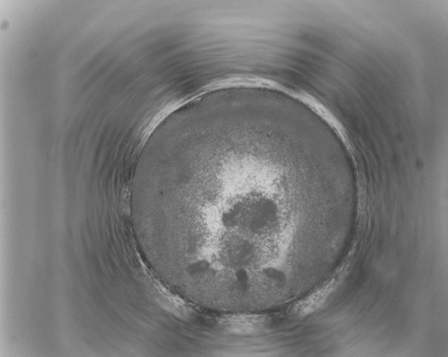 X0000059100953200510172116