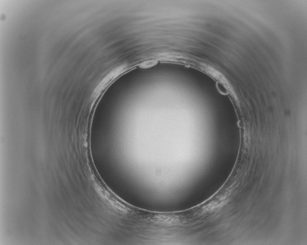 X0000059100954200510172116