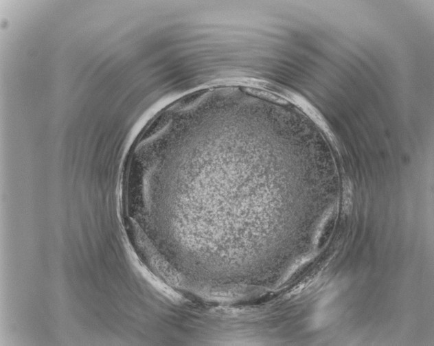 X0000059100955200510172116