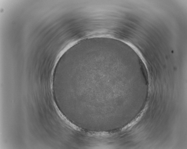 X0000059100957200510172116