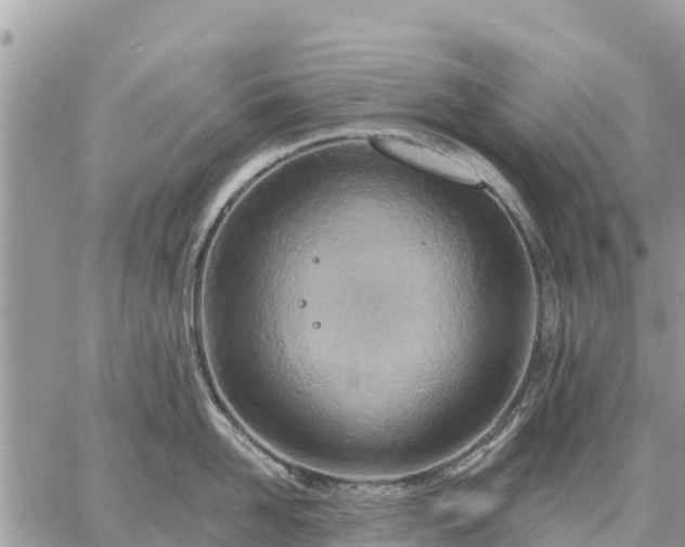 X0000059100958200510172116