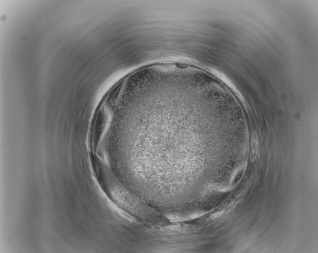 X0000059100959200510172117