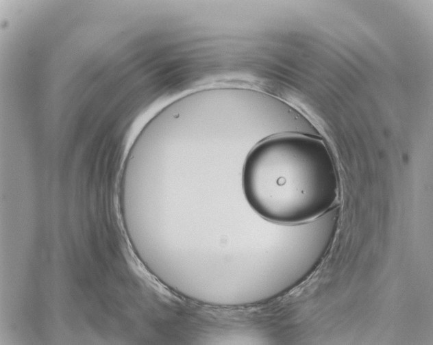 X0000059100960200510172117