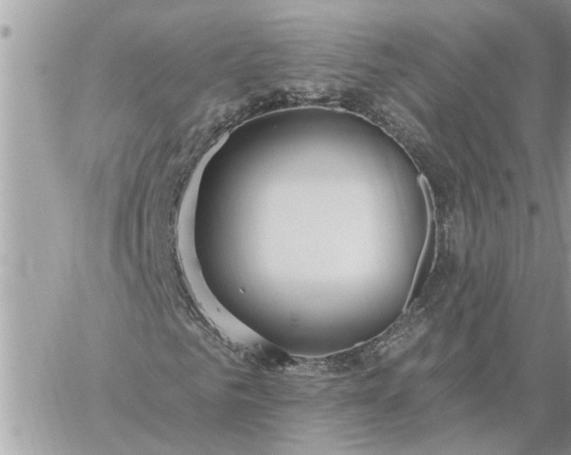 X0000059100961200510172116