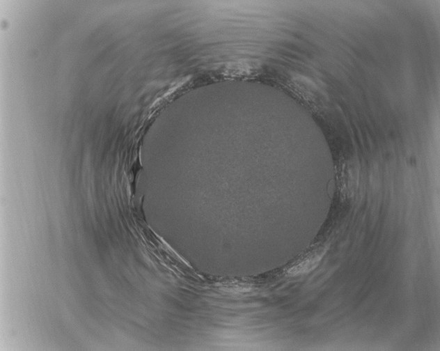 X0000059100962200510172116