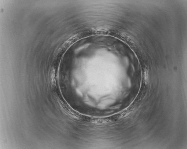 X0000059100963200510172116