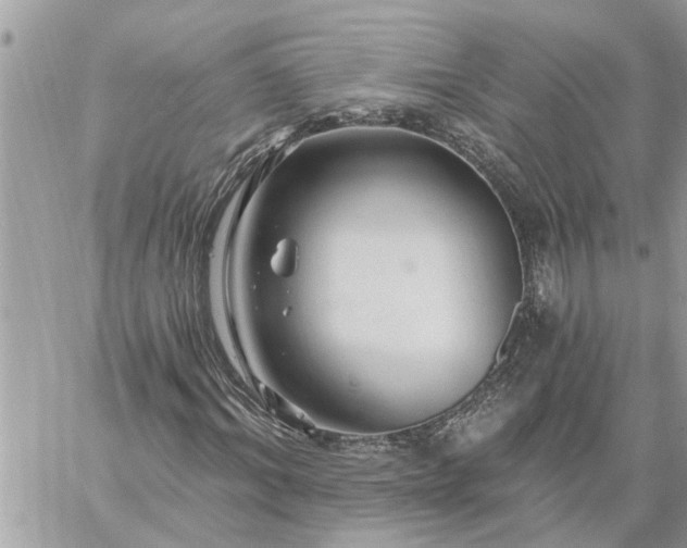 X0000059100964200510172116