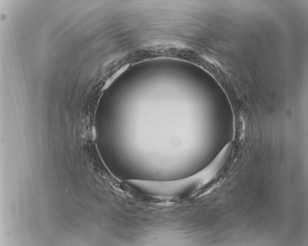 X0000059100965200510172116