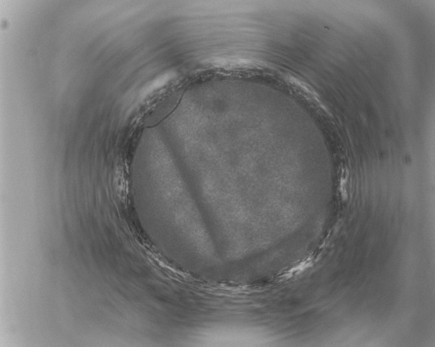 X0000059100966200510172116