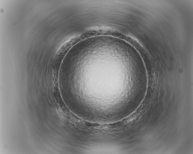 X0000059100967200510172116