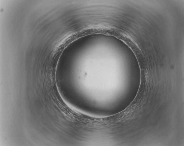 X0000059100968200510172116