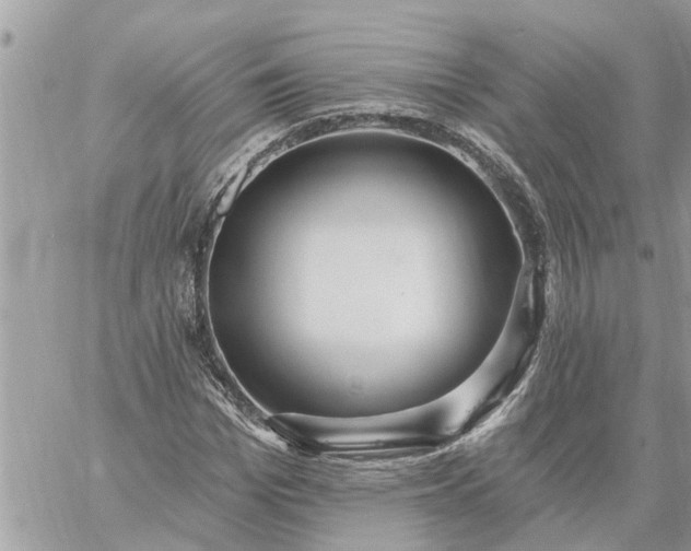 X0000059100969200510172116