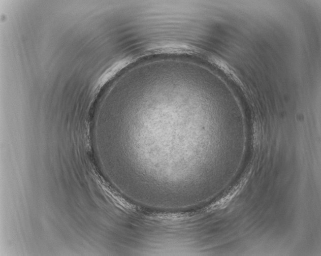 X0000059100970200510172116