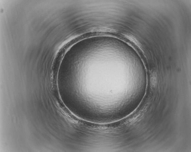 X0000059100971200510172116