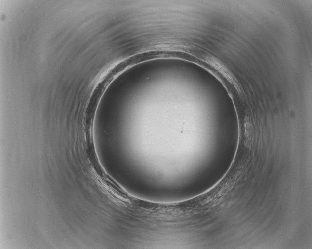 X0000059100972200510172116