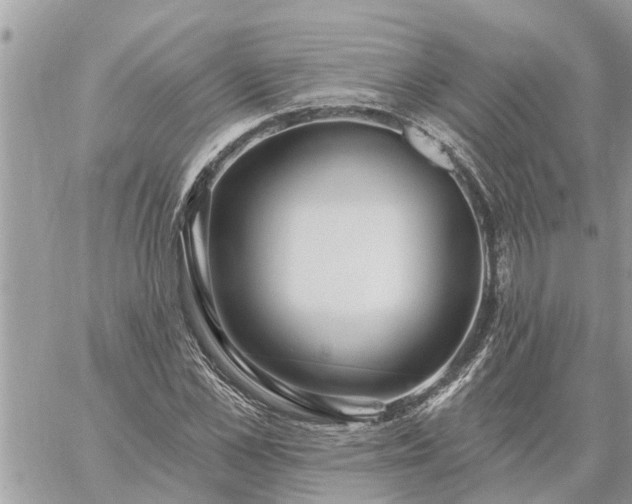 X0000059100973200510172116