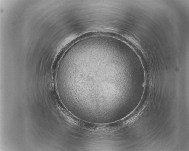 X0000059100974200510172116