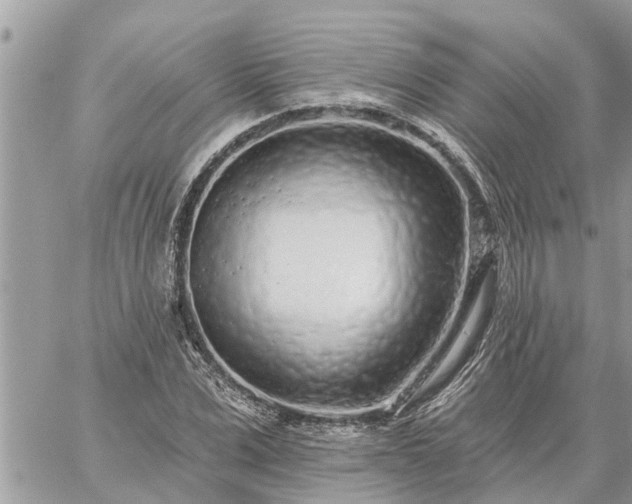 X0000059100975200510172116