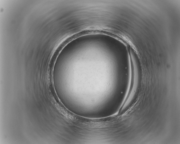 X0000059100976200510172115