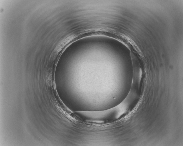 X0000059100977200510172115