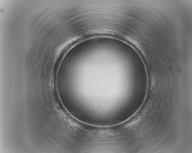 X0000059100979200510172115