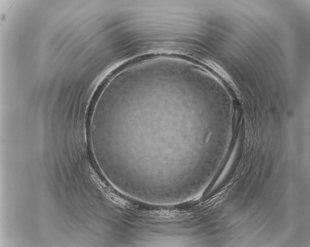 X0000059100980200510172115