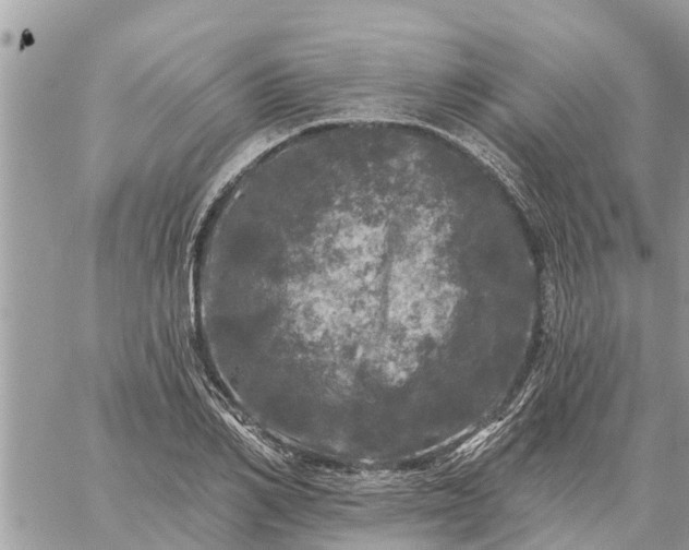 X0000059100982200510172115