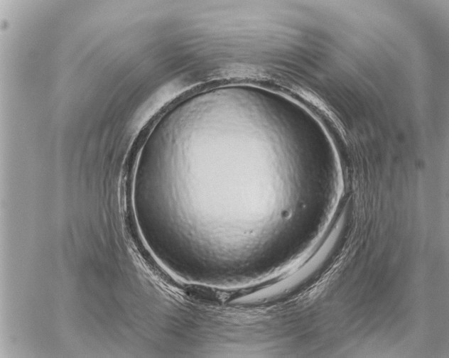 X0000059100983200510172115