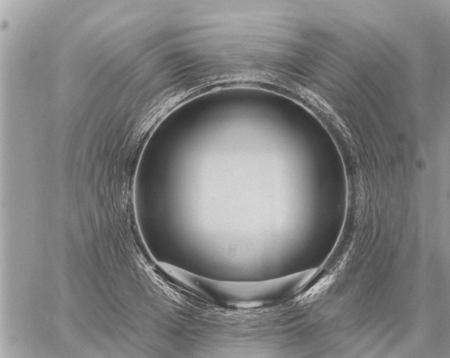 X0000059100985200510172115