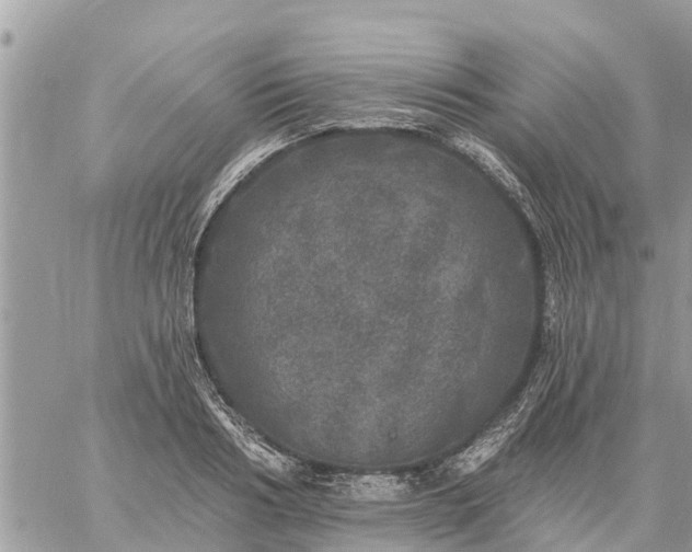 X0000059100986200510172115