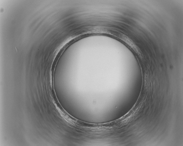 X0000059100988200510172115