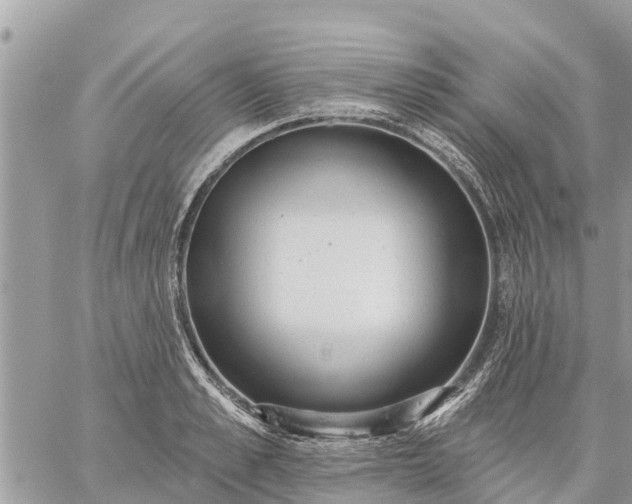 X0000059100989200510172115