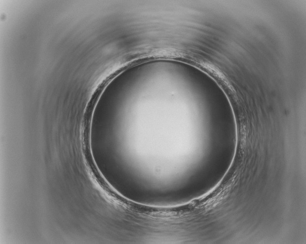 X0000059100991200510172115