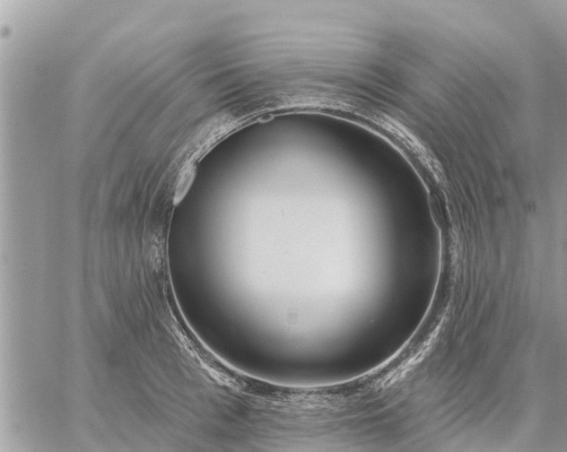 X0000059100993200510172115