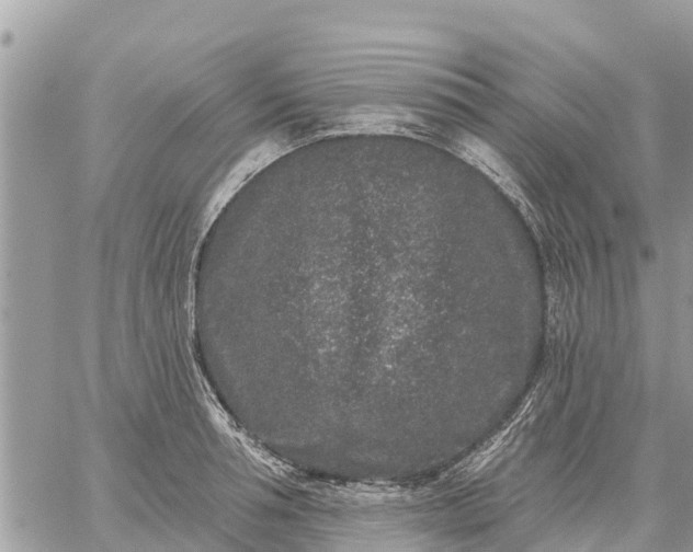 X0000059100994200510172115