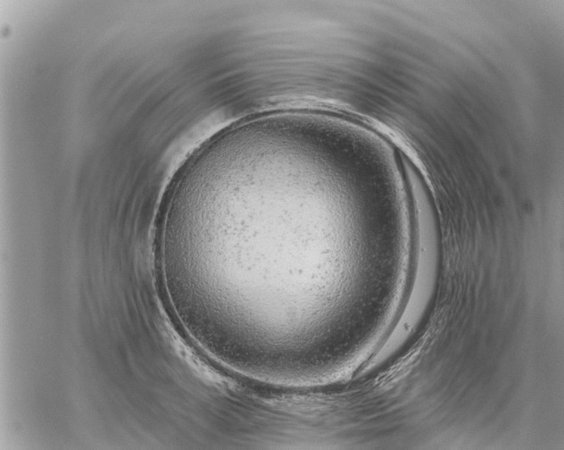 X0000059100995200510172115