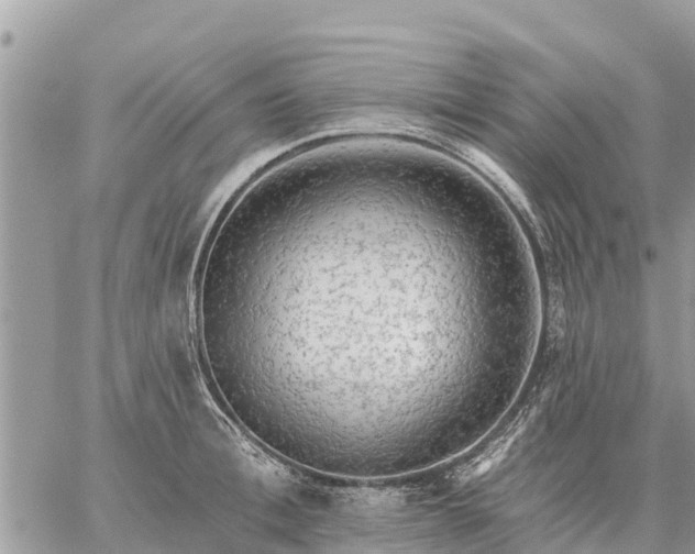 X0000059100996200510172115