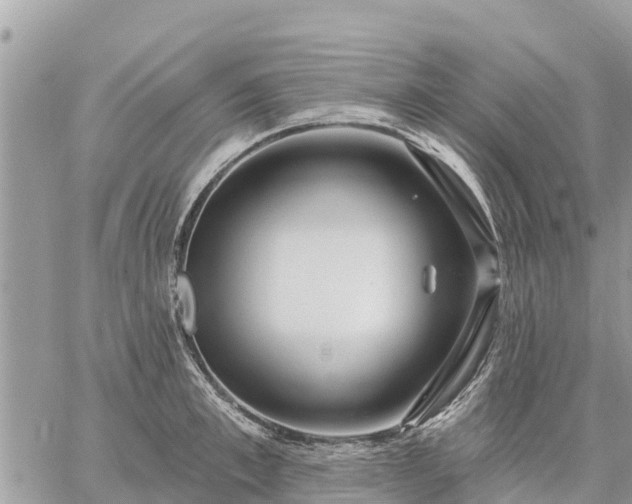 X0000059100997200510172115