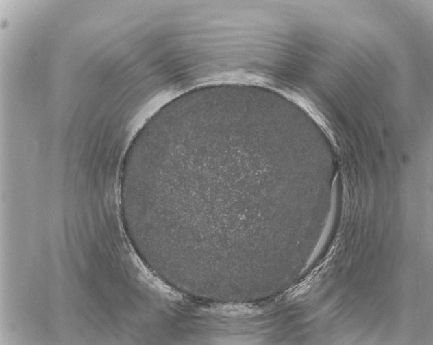 X0000059100998200510172115