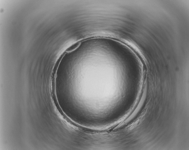 X0000059100999200510172115