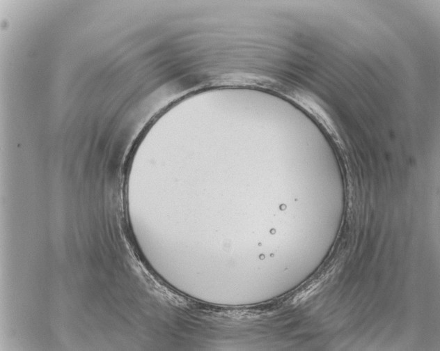 X0000059101000200510172115