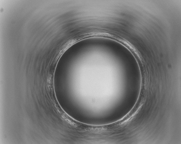 X0000059101001200510172115