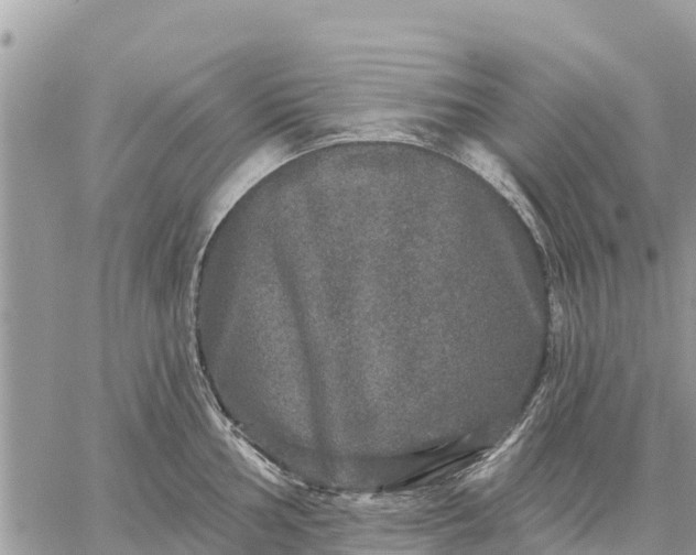 X0000059101002200510172115