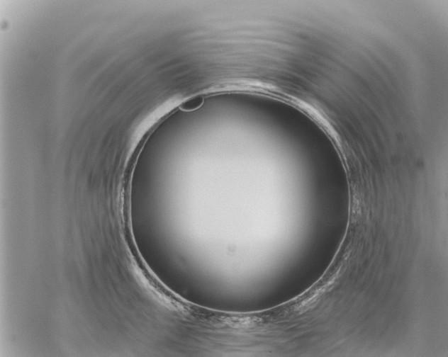 X0000059101003200510172115